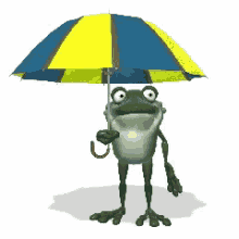 Frog GIF - Frog GIFs