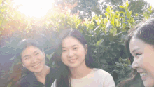 three asian women are smiling in front of a bush
