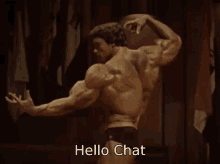 arnold schwarzenegger is flexing his muscles and the words hello chat are below him