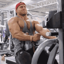 bodybuilding muscle