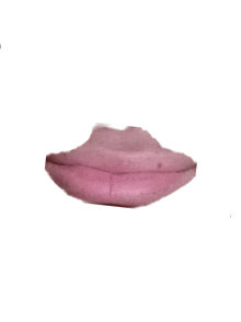 a close up of a person 's lips with a white background