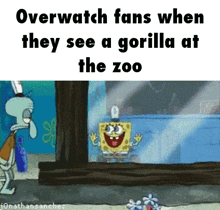 Overwatch Fans Gorilla GIF - Overwatch Fans Gorilla Zoo GIFs