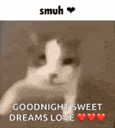 a picture of a cat with the words goodnight sweet dreams love above it