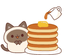 shamu cat sticker pancake good work