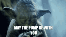 May The Pump Be With You GIF - May The Pump Be With You GIFs