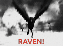 Raven Game GIF - Raven Game GIFs