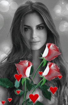 Beautiful Pretty GIF - Beautiful Pretty Roses GIFs