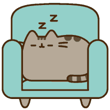 cat sleep
