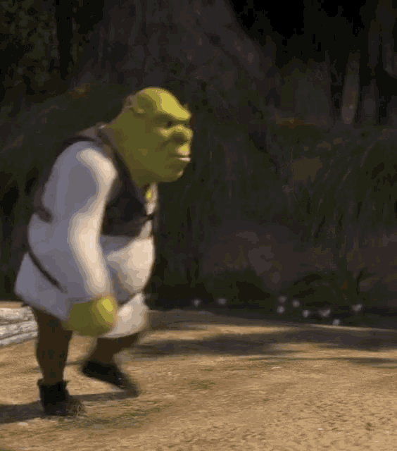 Shrek Angry GIFs