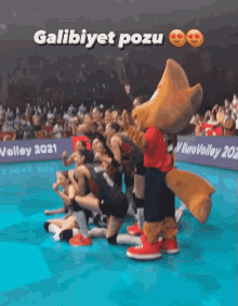 turkish womens volleyball teamwork winner