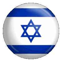 Jackbro Israel Flag Sticker - Jackbro Israel Flag Stickers