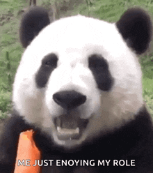 Panda Eat GIF