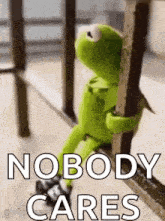 kermit the frog is sitting on a railing with the words `` nobody cares '' written on it .