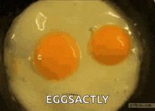 Eggs Breakfast GIF - Eggs Breakfast Cooking GIFs