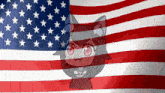 an american flag with a cat on it