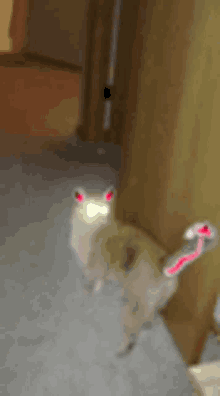 Devil Satan GIF - Devil Satan Evil Cat GIFs
