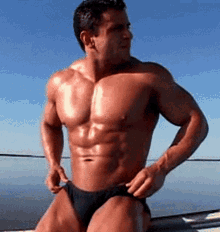 muscles musclemen beefcake ethnic bodybuilders hunks