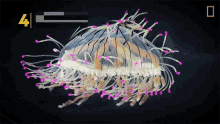Jellyfish Are95percent Water National Geographic GIF - Jellyfish Are95percent Water National Geographic Float GIFs