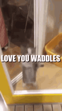 I Love You Waddle Waddles GIF - I Love You Waddle Waddles Waddle GIFs