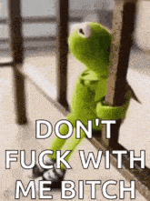 kermit the frog is holding onto a railing and says `` don 't fuck with me bitch ''