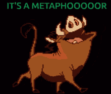 Pumba Pumba Metaphor GIF - Pumba Pumba Metaphor Pumba Metafour GIFs
