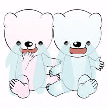 animal bear cute couple lovely animal bear cute couple lovely