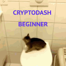 Cryptodash Cryptopets GIF - Cryptodash Cryptopets Cat GIFs