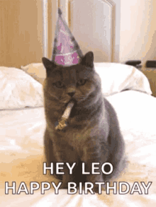 Birthday Happy Birthday GIF - Birthday Happy Birthday Cat GIFs