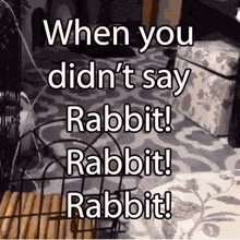 Rabbit Rabbit GIF - Rabbit Rabbit GIFs