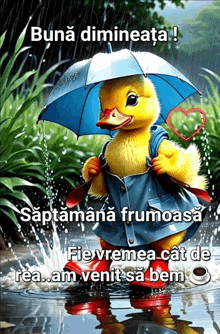 a picture of a duck holding an umbrella in the rain with the words buna dimineata