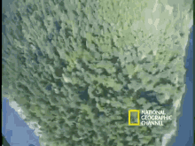 View From The Top GIF - Forest Nature Aroundtheworld GIFs