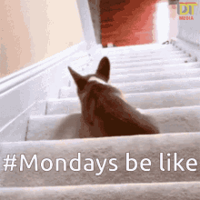 Mondays Funny As Hell GIF