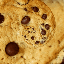 Cookie Cookies GIF