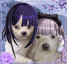a picture of a girl with purple hair and a dog