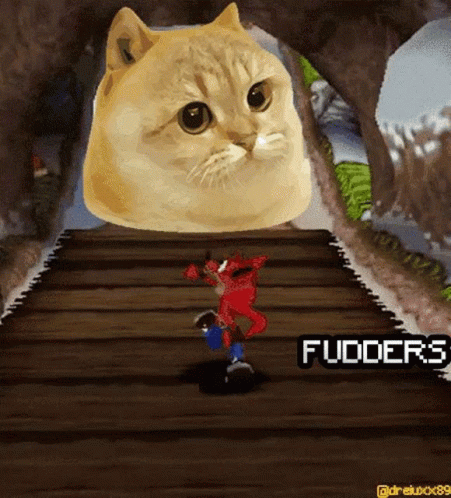Catge Crash Bandicoot GIF - Catge Crash Bandicoot Fud - Discover & Share GIFs Catge Crash Bandicoot GIF - Catge Crash Bandicoot Fud - Discover & Share GIFs