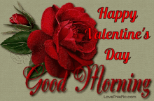 Good Morning Happy Valentines Day GIF - Good Morning Happy Valentines Day Roses GIFs