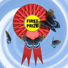 First Prize Winner GIF - First Prize Winner Number One GIFs