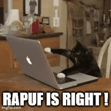 a black cat sitting in front of an apple laptop with the caption " rapuf is right "