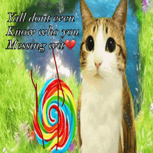a picture of a cat with a lollipop and the words " yall dont even know who you messing wit "