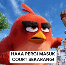 a red angry bird with the words haaa pergi masuk court sekarang below it