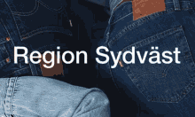 Region Sydvast GIF