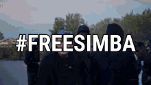 Freesimba Simbalarue GIF - Freesimba Simbalarue GIFs