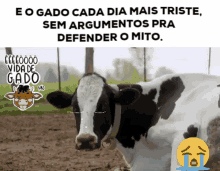 Gado Gadotriste GIF - Gado Gadotriste Bolsonaro GIFs