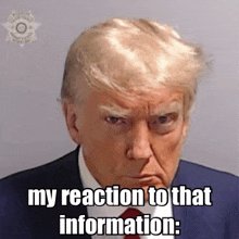 Donald Trump Mugshot GIF - Donald Trump Mugshot My Reaction To That Information GIFs