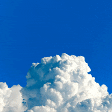 Zappagazapata Shave GIF - Zappagazapata Shave Cloud GIFs