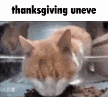 Thanksgiving Uneve GIF - Thanksgiving Uneve Thanksgiving Uneve GIFs