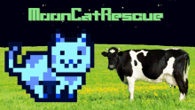 Mooncat Cow Rescue GIF - Mooncat Cow Rescue GIFs