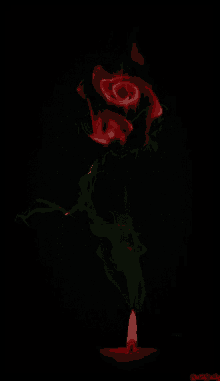 Flowers Rose GIF - Flowers Rose GIFs