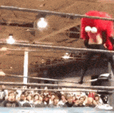 Elmo Wwe GIF - Elmo Wwe Wrestling GIFs