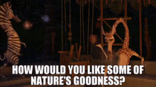 Madagascar Marty GIF - Madagascar Marty How Would You Like Some Of Natures Goodness GIFs